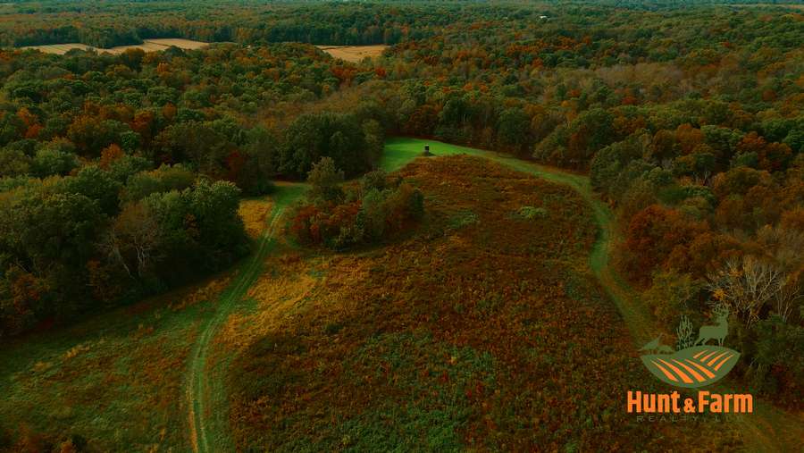 Still 2025-11-29 081237_1.37.1.jpg